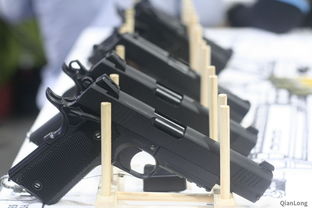 2018年第九届中国国际警用装备博览会 多种训练枪械独具特色 3